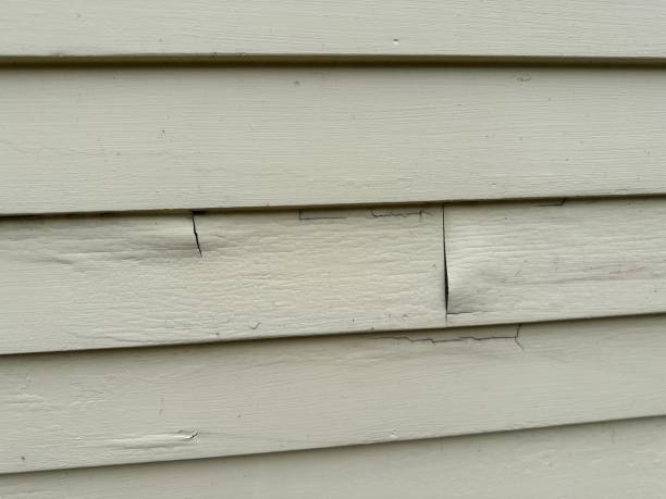 Delshire, OH Siding Installation & Repair Company